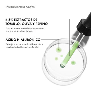 PHYTO CORRECTIVE
